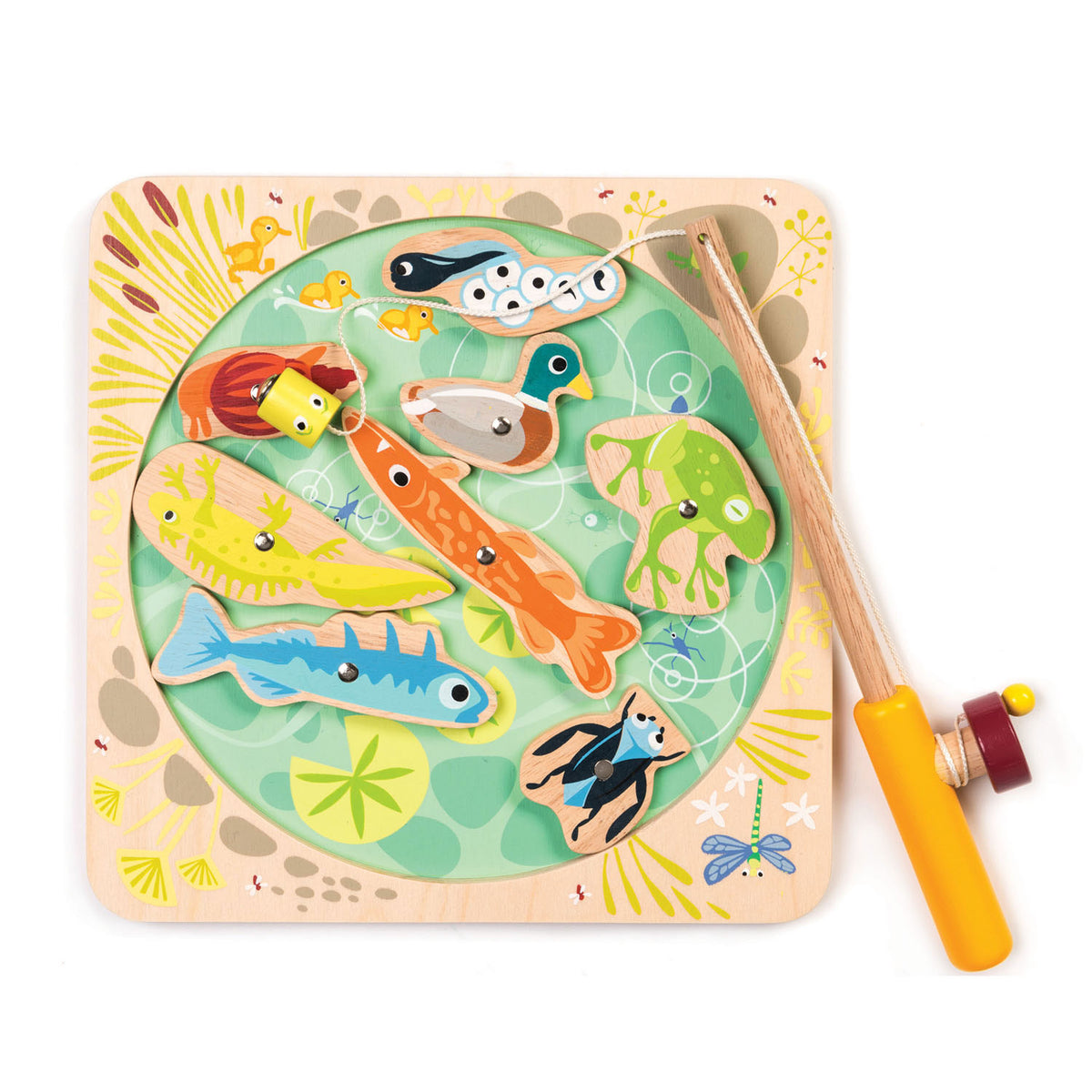 Set de pesca y exploración en el estanque